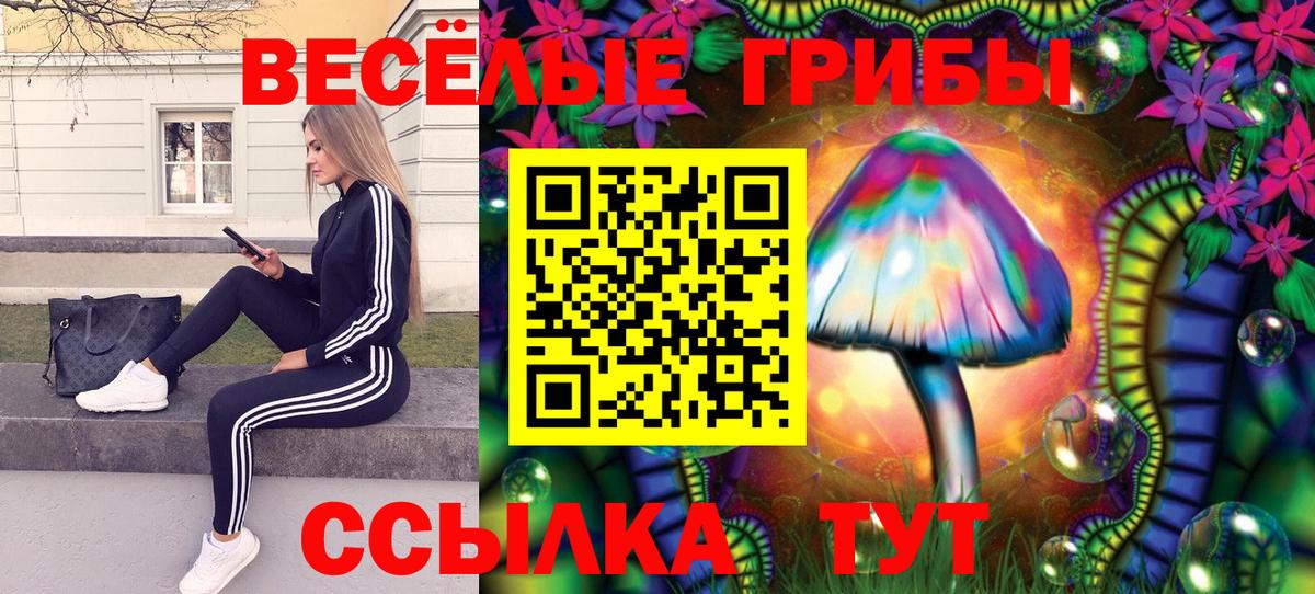 Кондопога  Галлюциногенные грибы мухоморы  Галлюциногенные грибы Cubensis  Вход с VPN 